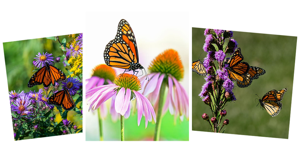 Photo Contest Winners